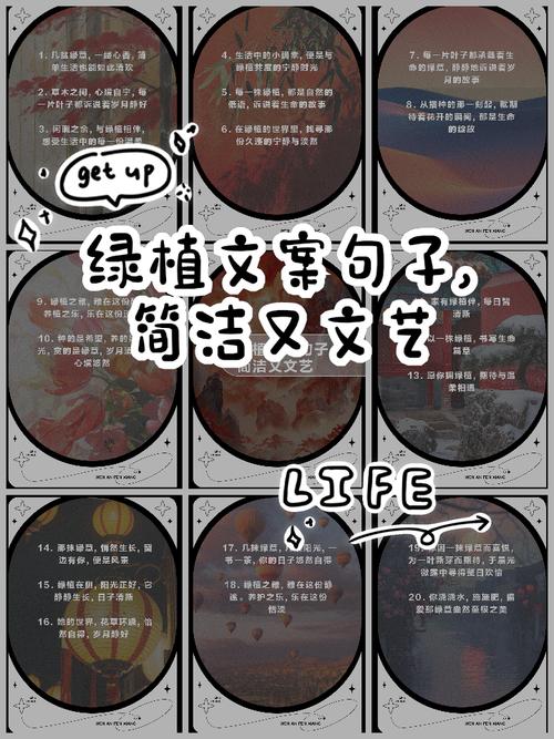 口语描述植物，口语描述植物的句子