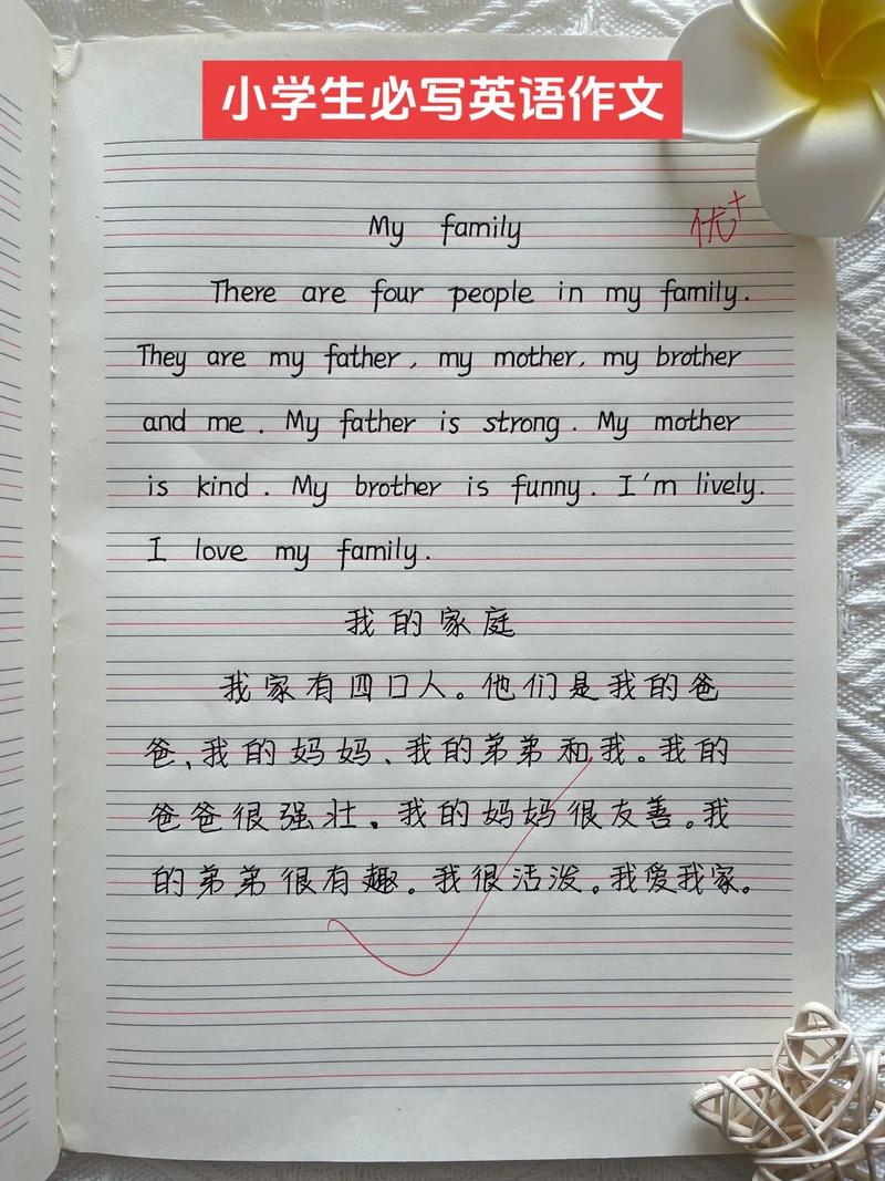 二胎作文英语看法，二胎 英语作文