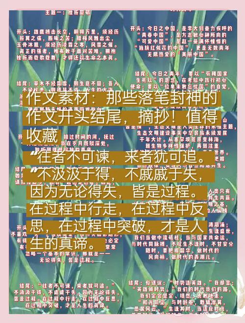 作文开头之重要，作文开头之重要的句子
