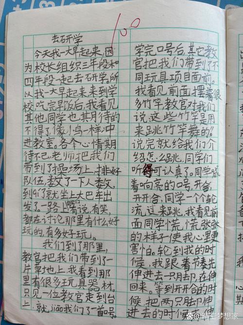 优秀作文素拓,优秀作文素拓图片