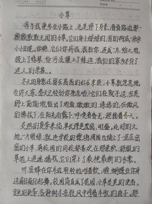 优秀作文素拓,优秀作文素拓图片