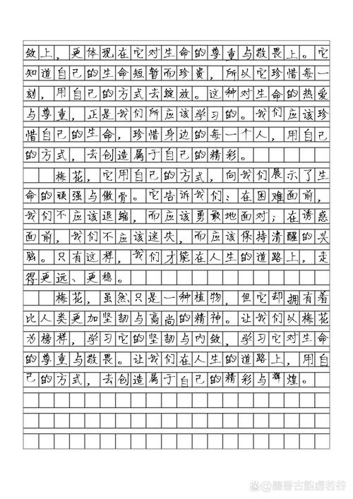 优秀作文素拓,优秀作文素拓图片