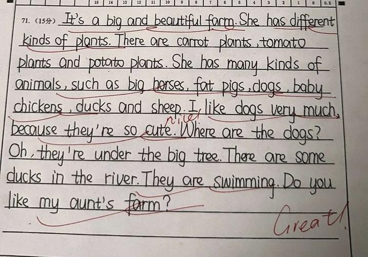 初一英语好作文