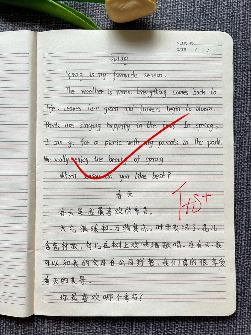 作为顾问英语作文,作为顾问英语作文怎么写