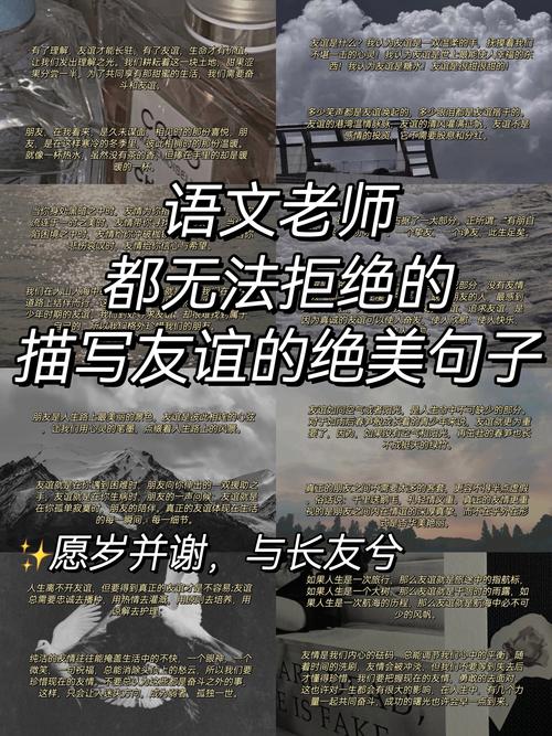 口语友谊，友谊的口语话题