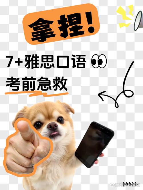 雅思口语口语迟到,雅思口语口语迟到了怎么办