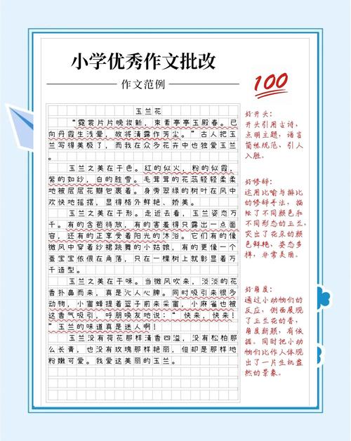 作文改写注意事项,作文改写注意事项怎么写