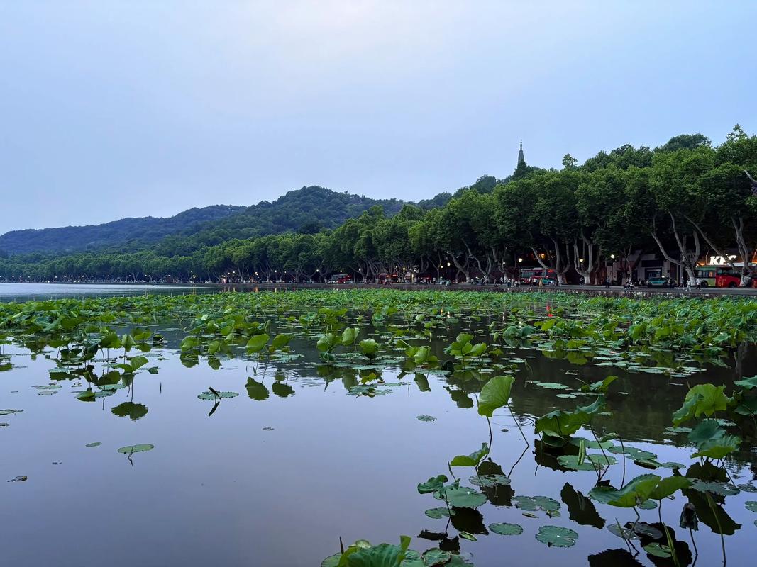 雅思口语 西湖，雅思口语西湖