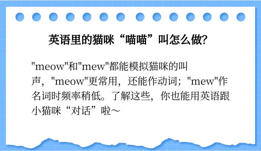 猫咪口语英文，猫咪口语英文怎么说