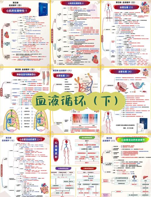 小学高年级生理常识