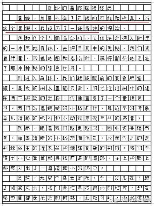 TheC ty作文，n the pαrk作文