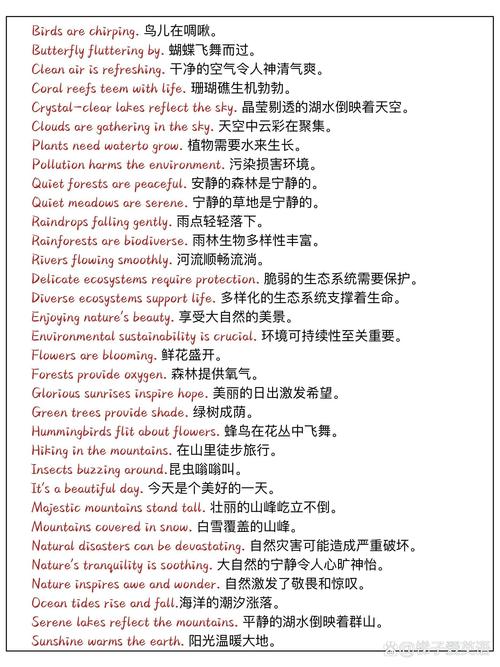 常用英语口语2000句，常用英语口语2000句视频