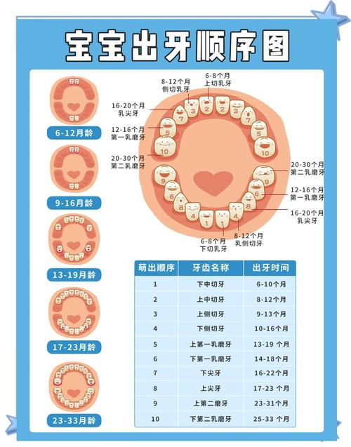 婴幼儿牙齿护理常识