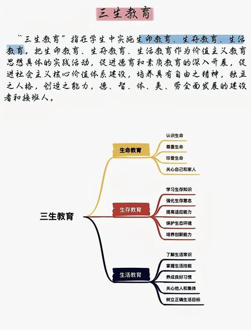 教育政策的三个过程