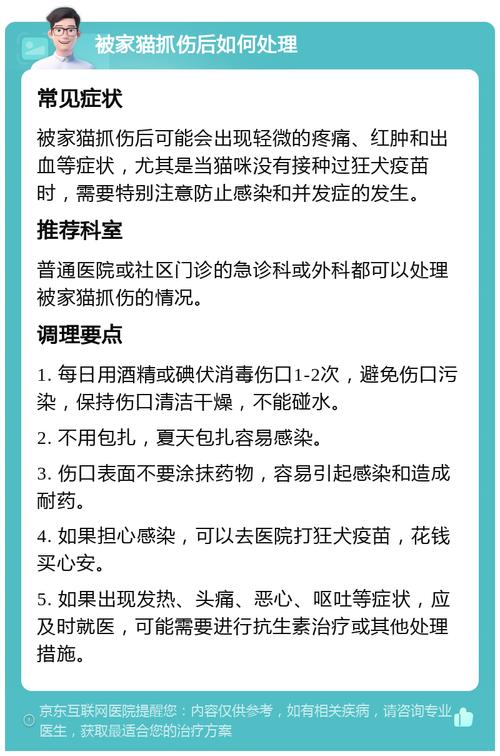 养猫常识如果被挠了