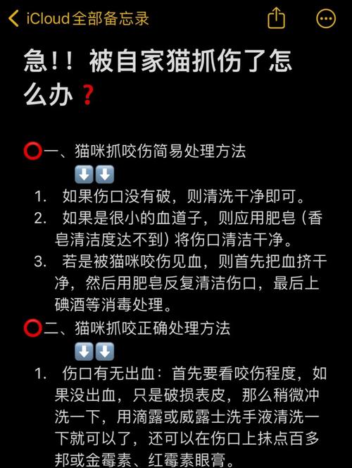 养猫常识如果被挠了