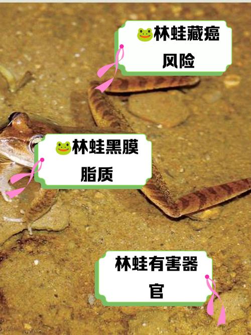 林蛙科普健康小常识