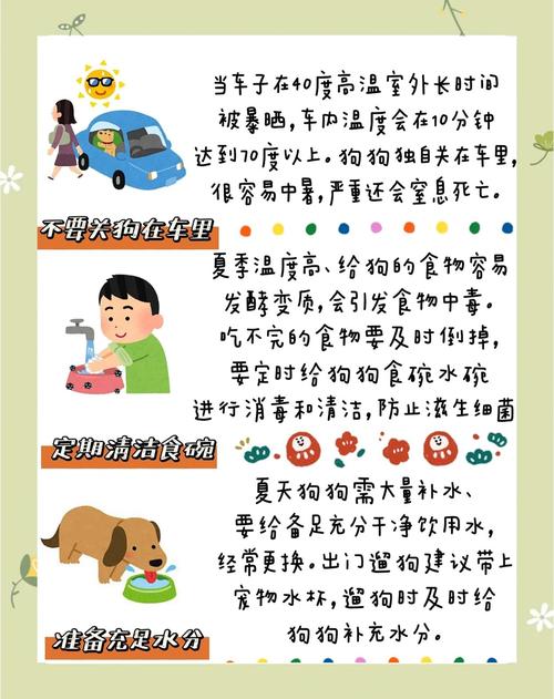 夏季预防解暑小常识