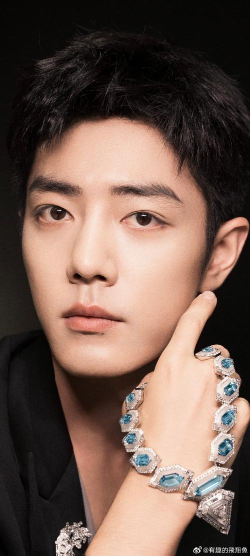 肖战的100个常识