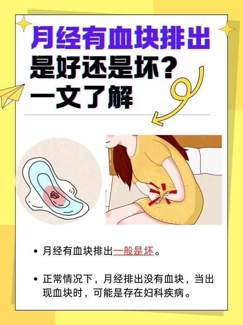 关于月经常识的照片