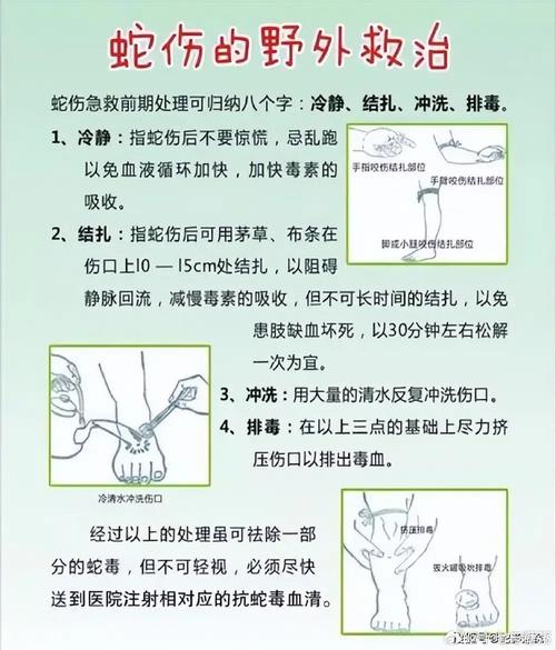 夏季防虫蛇叮咬小常识