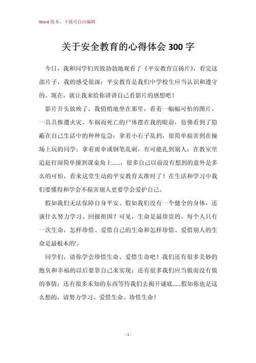 义工安全教育感想