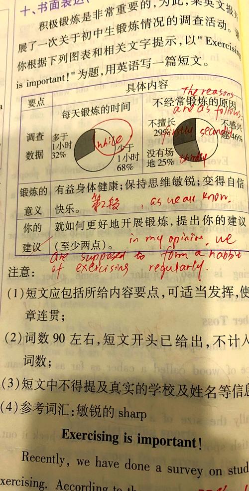 英语百分数作文