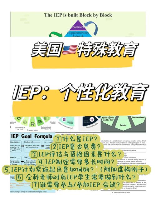 中外特殊教育政策法规