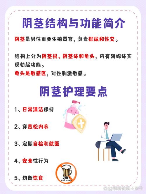 关于男人丁丁的常识