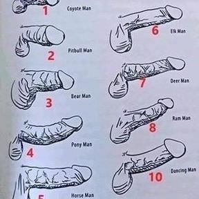 关于男人丁丁的常识