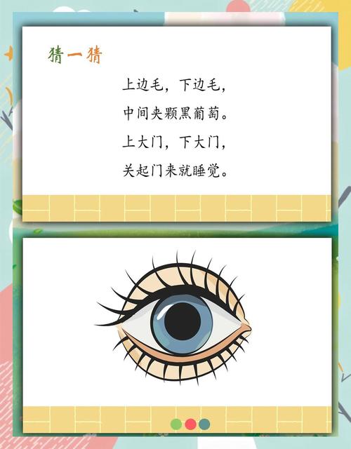 幼儿安全教育 眼睛