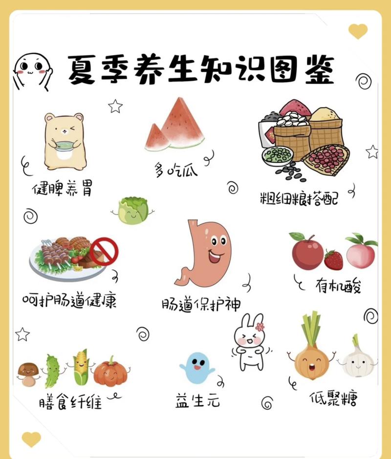 夏季饮食健康小常识宣传