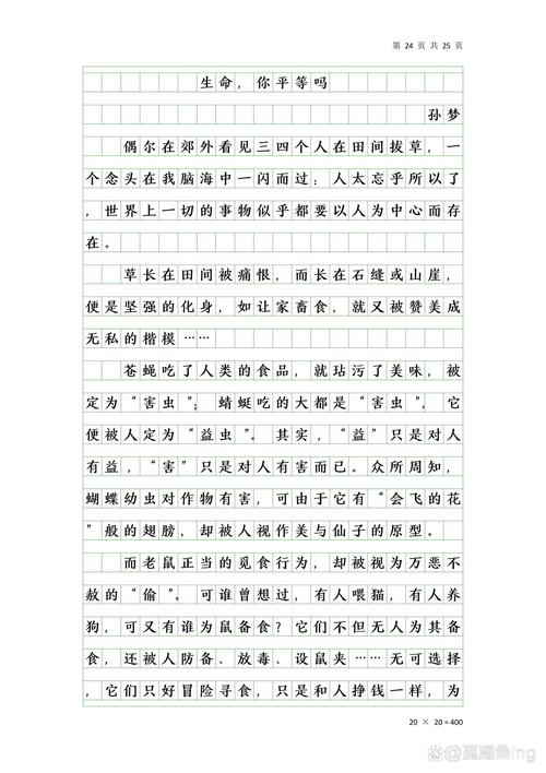 权力平等的作文