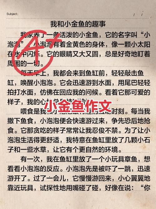 fish 作文