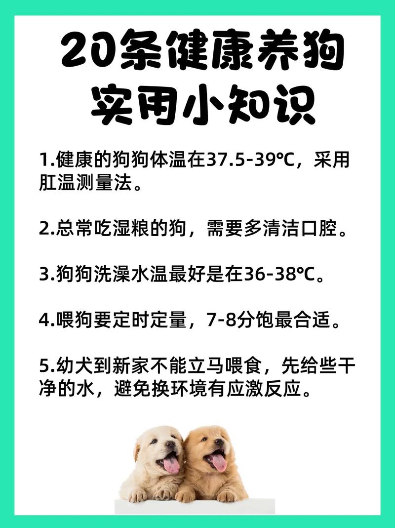 养宠物狗小常识