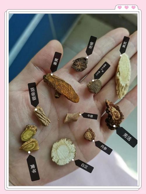 中药材鉴别小常识