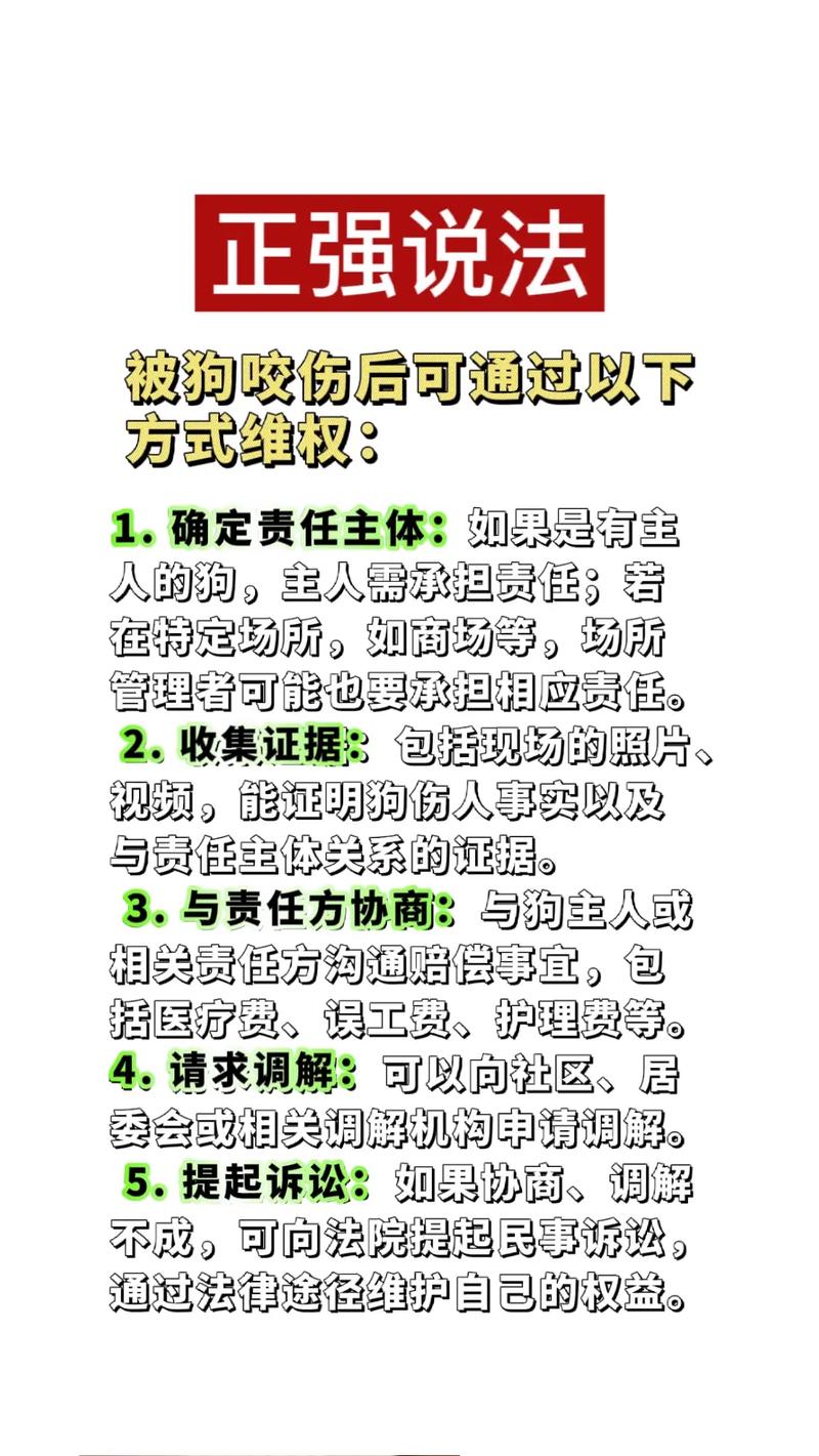 关于狗狗咬了的常识