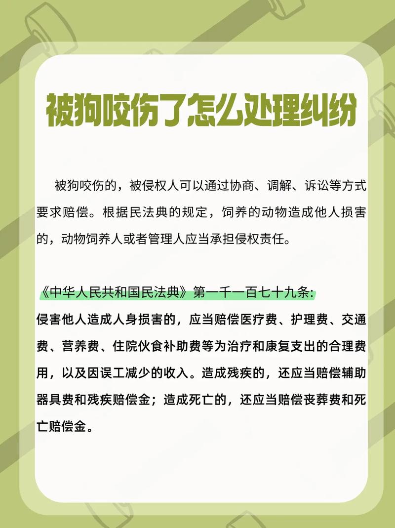 关于狗狗咬了的常识