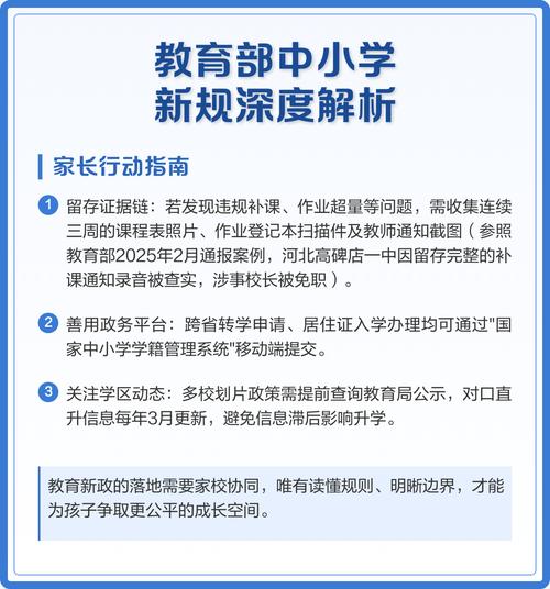 基础教育领域政策不包括