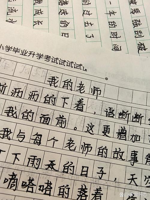 新东方语文作文