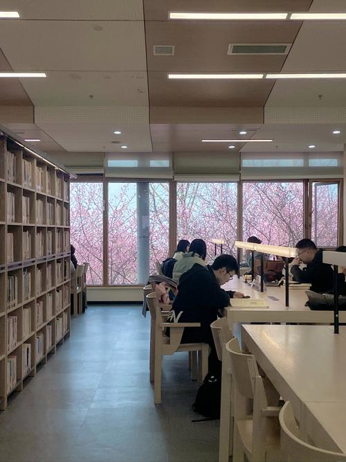 雅思作文图书馆