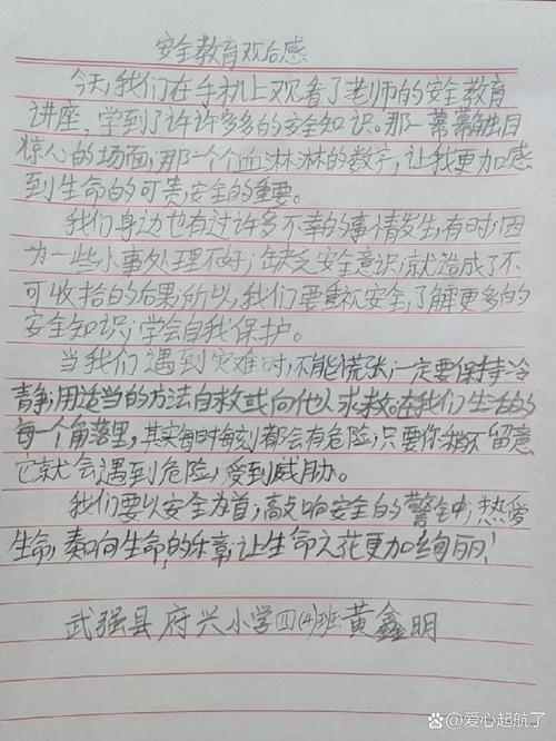 家庭安全教育读后