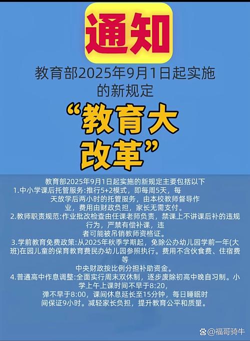 最新政策双师教育