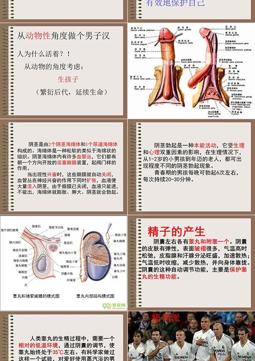 高中男生生理常识