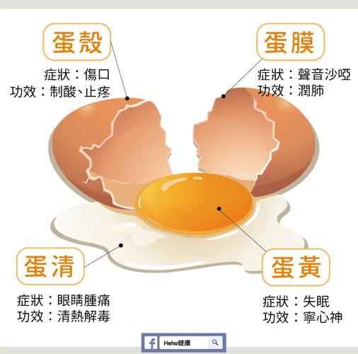 关于鸡蛋的常识还有哪些