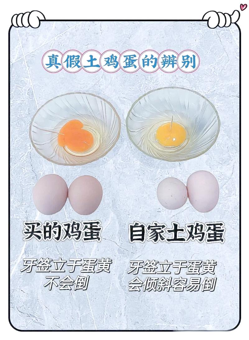 关于鸡蛋的常识还有哪些