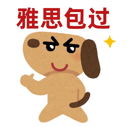 雅思口语 考官表情