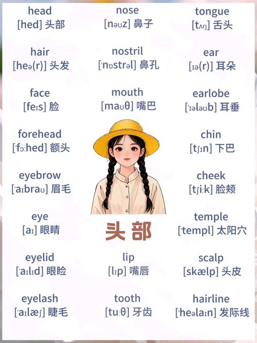 英语口语头发，英语 头发