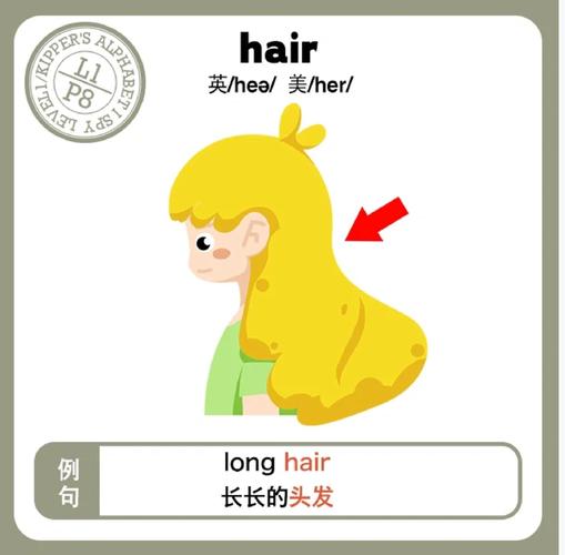 英语口语头发，英语 头发