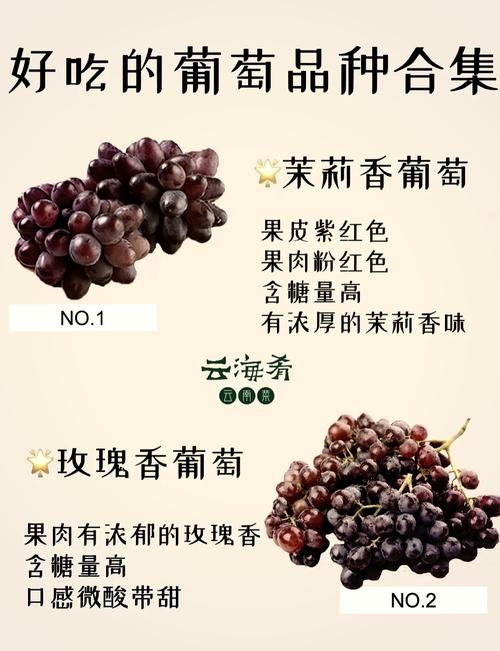 葡萄口语对话，葡萄口语对话怎么写